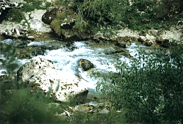 Gorges du Tarn (Massif Central)