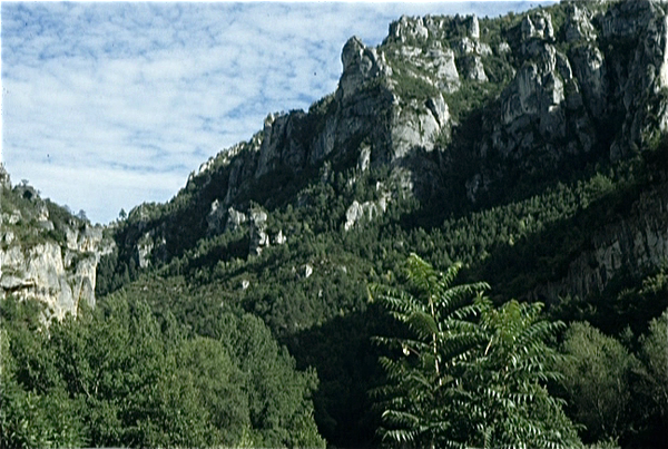 Gorges du Tarn (Massif Central)