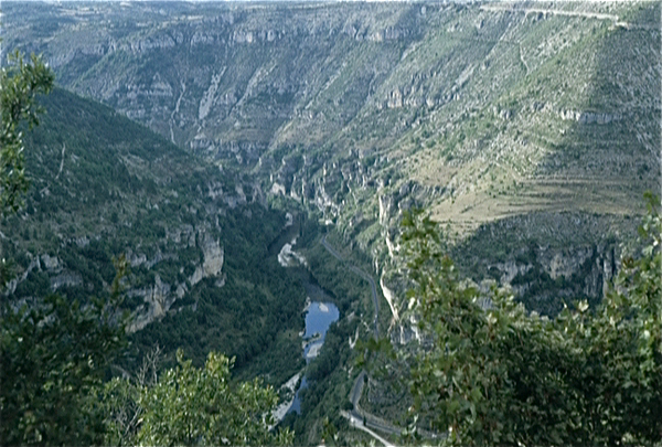 Gorges du Tarn (Massif Central)