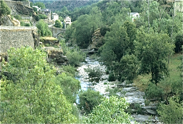 Gorges du Tarn (Massif Central)