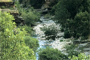 Gorges du Tarn (Massif Central)