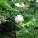 DSCF1647