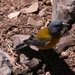 Argentina : Aconcagua