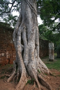 San Ignacio