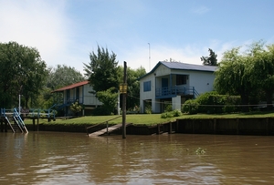 Tigre