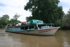 Tigre