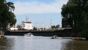 Tigre