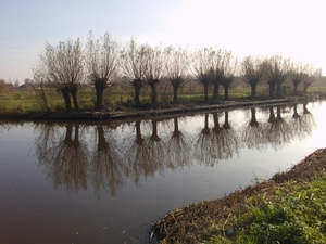 Friends at Vinkeveen 012