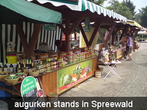 12 juni Spreewald 024