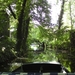 12 juni Spreewald 053