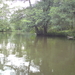 12 juni Spreewald 071