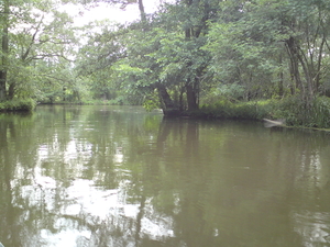 12 juni Spreewald 071