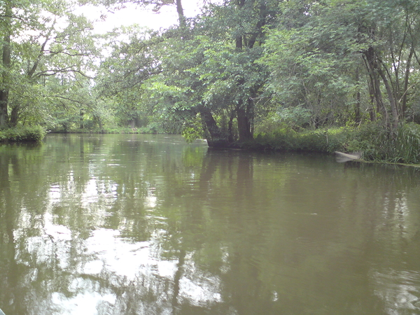 12 juni Spreewald 071