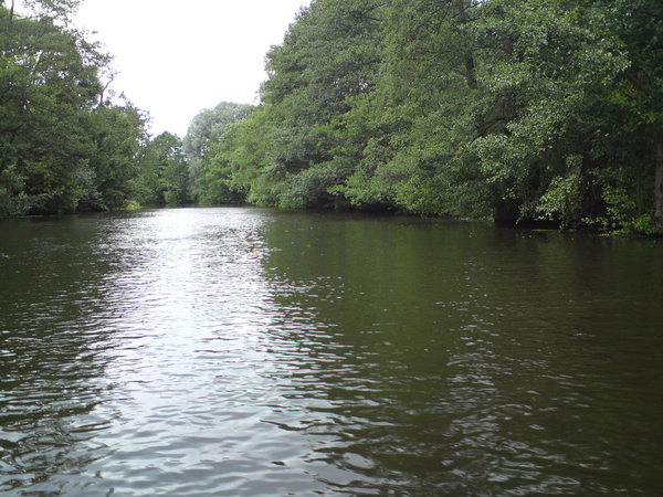 12 juni Spreewald 072