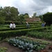 IMG_6167