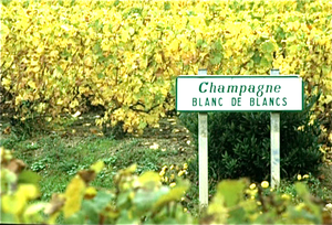 Blanc de Blancs (Champagne)