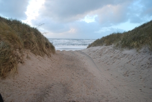 DK-2010 (33)
