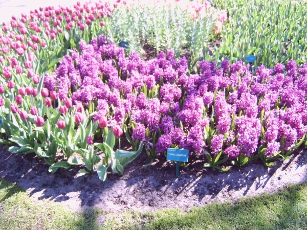 Katwijk 23 april 2010 Lifetec 010