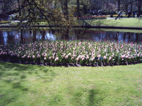 Katwijk 23 april 2010 Lifetec 062