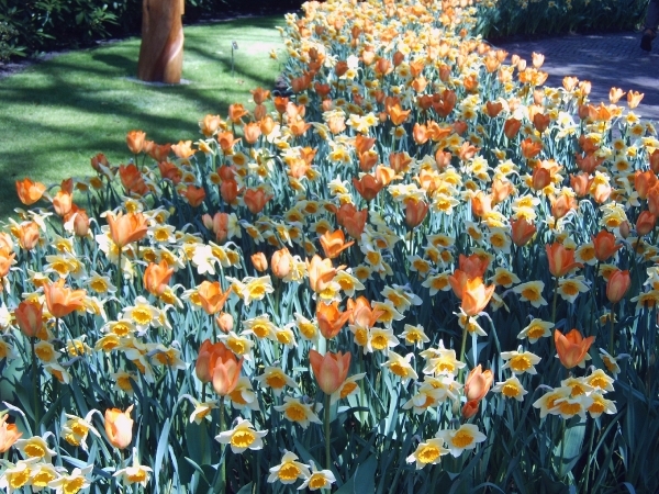 Katwijk 23 april 2010 Lifetec 064
