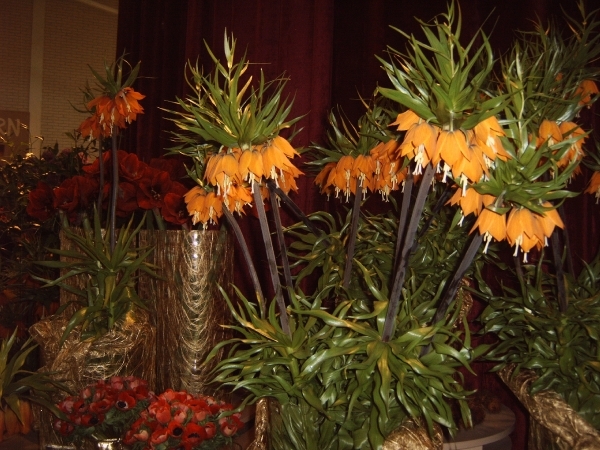 Katwijk 23 april 2010 Lifetec 084