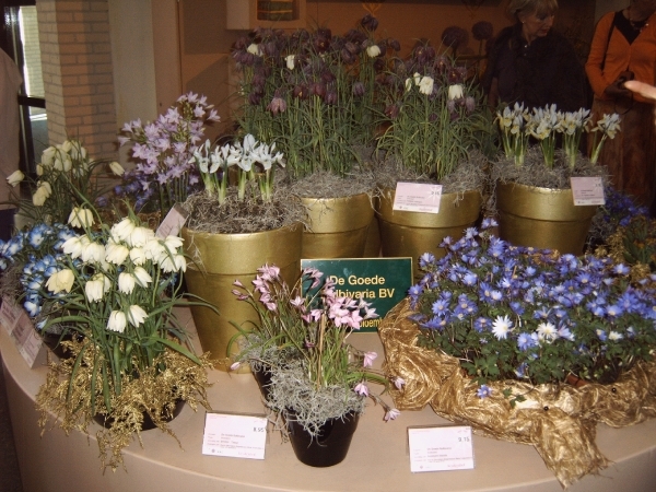 Katwijk 23 april 2010 Lifetec 095