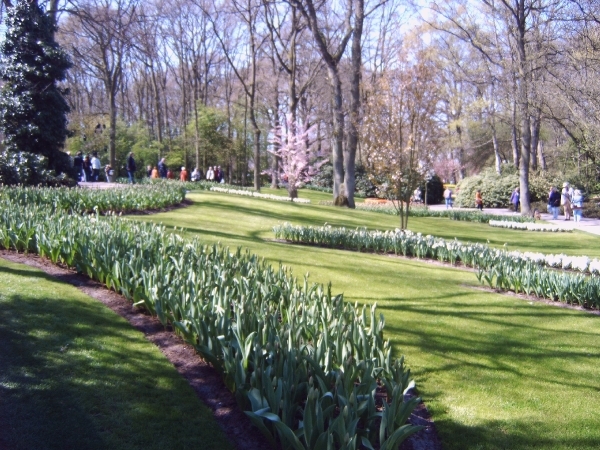 Katwijk 23 april 2010 Lifetec 118