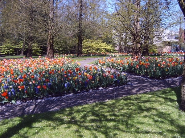 Katwijk 23 april 2010 Lifetec 139