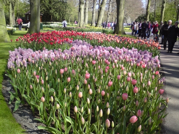 Katwijk 23 april 2010 Sony 014