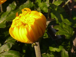 P1030974