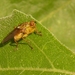P1060536