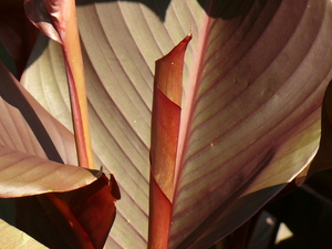 P1060549