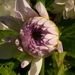 P1060530