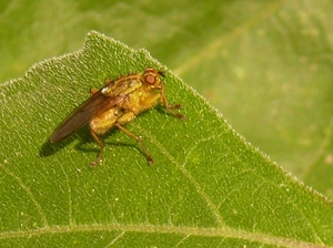 P1060536