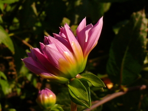 P1060566