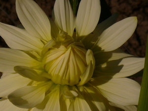 P1060572