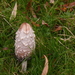 P1040090