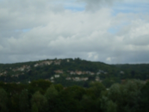 SDC10921