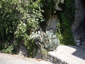 SDC10892