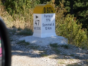 SDC10884
