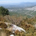 SDC10881