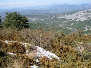 SDC10881