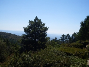 SDC10880