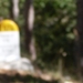 SDC10877