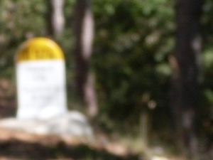 SDC10877