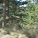 SDC10872