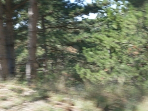 SDC10872