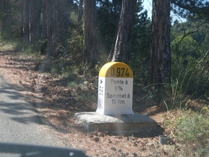 SDC10871