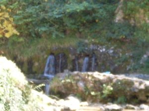 SDC10869