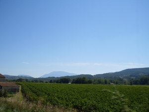 SDC10863